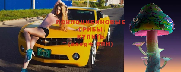PSILOCYBIN Богородск
