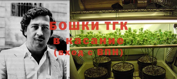 PSILOCYBIN Богородск